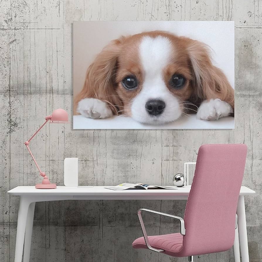 Amazon.co.jp: キャバリアキング チャールズ・スパニエル 子犬